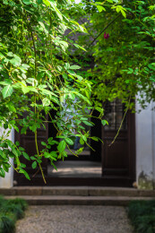 苏州园林艺圃中式庭院春天新绿