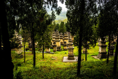 少林寺塔林