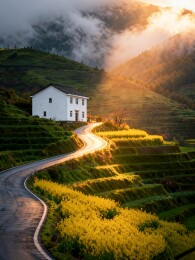山间梯田公路与白屋晨光