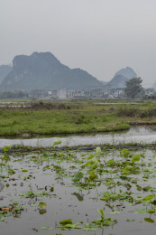 喀斯特地貌乡村荷塘与远山村落