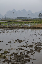 喀斯特地貌水田泥泞近景远山朦胧
