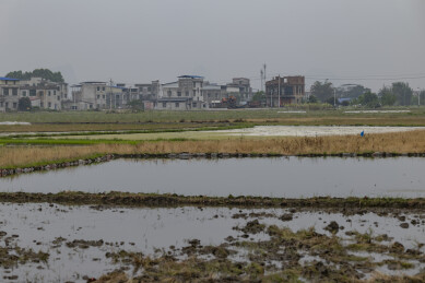 乡村水田与农舍远景灰蒙天气