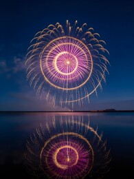 夜空烟花绽放倒影