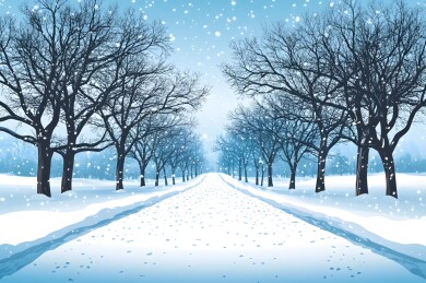 暴雪中的积雪压弯树木