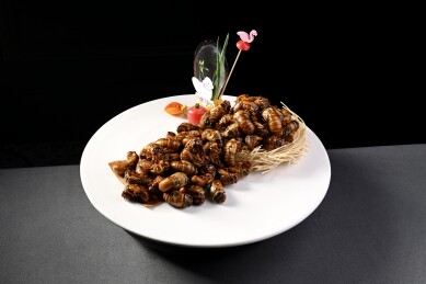 酥炸蝉蛹