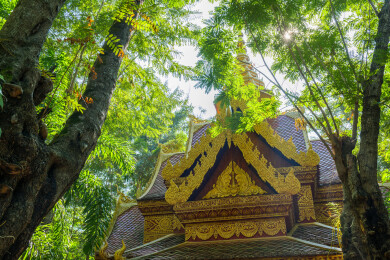 云南西双版纳景洪曼听御花园景区