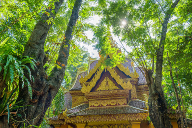 云南西双版纳景洪曼听御花园景区