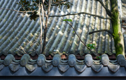 成都杜甫草堂青瓦兽面瓦当特写