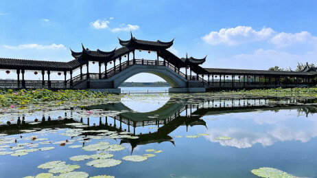 廊桥湖景风景