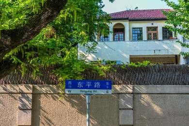 上海徐汇衡复风貌区 夏天梧桐树下的东平路