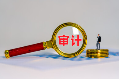 放大镜下审计两字