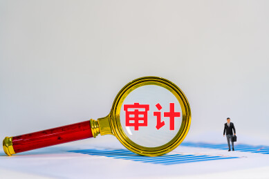 放大镜下审计两字