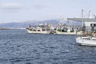 日本北海道冬季函馆城市建筑与海景风光