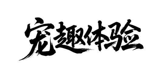 宠趣体验矢量书法手写毛笔字