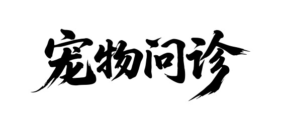 宠物问诊矢量书法手写毛笔字