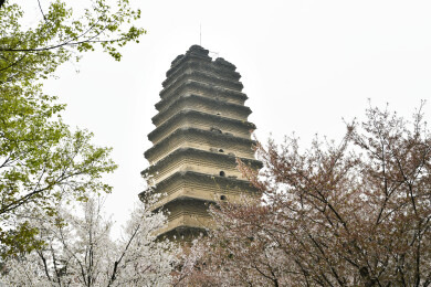 第一批全国重点文物保护单位西安小雁塔
