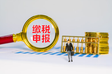金币金算盘和放大镜缴税申报四字