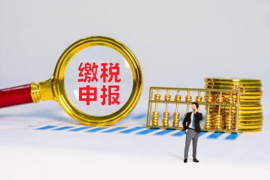 金币金算盘和放大镜缴税申报四字