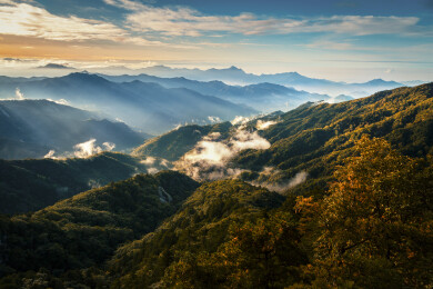 逆光高山光影云海伏牛山宝天曼保护区