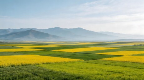 油菜花田与远山