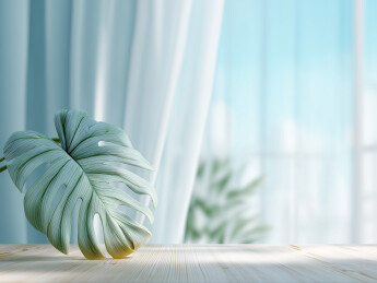  浅木纹桌面龟背竹模糊背景   