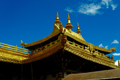 西藏拉萨市大昭寺的金顶、壁画和转经筒