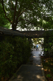 武汉东湖风景区优美的人文景观