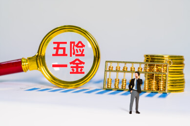 金币金算盘和放大镜下五险一金四字