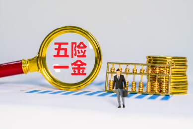 金币金算盘和放大镜下五险一金四字
