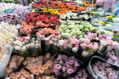 昆明斗南花卉市场摆放的鲜花
