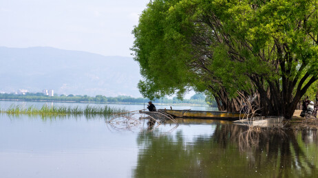 云南大理剑川剑湖湿地夏日美景