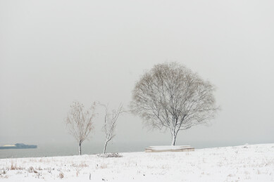 武汉汉口江滩公园大雪中的树木和江面