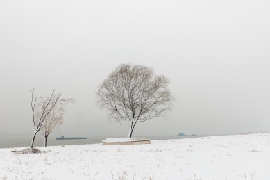 武汉汉口江滩公园大雪中的树木和江面