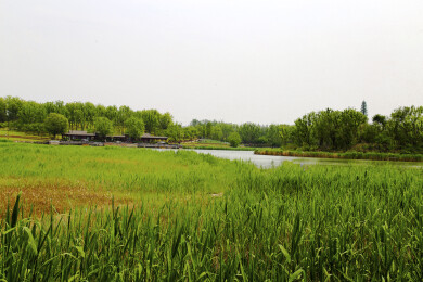 亚洲中国北京大兴南海子湿地公园景观