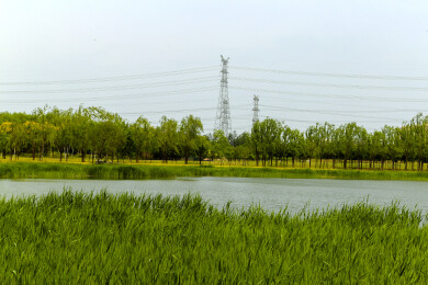 亚洲中国北京大兴南海子湿地公园景观