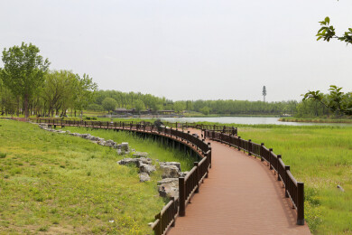 亚洲中国北京大兴南海子湿地公园景观