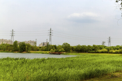 亚洲中国北京大兴南海子湿地公园景观