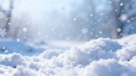 雪地飞雪美景