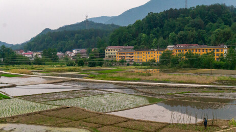 悠然禾田