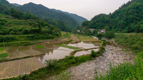 悠然禾田