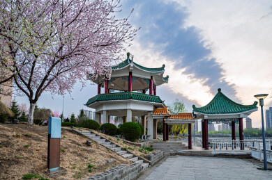 古建筑与杏花-中国长春松涛园春景