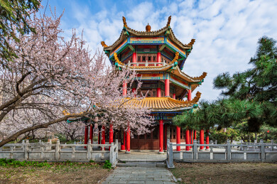古建筑与杏花-中国长春松涛园春景