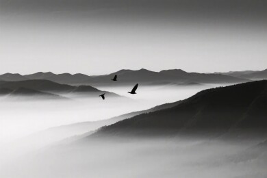 山水飞鸟风景画