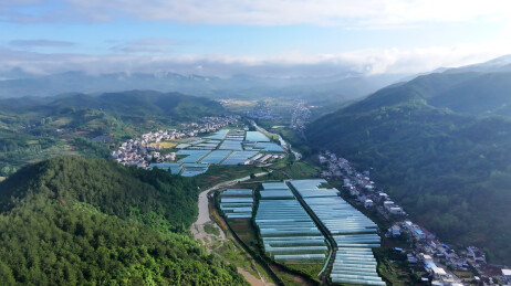 湖北房县：科技赋能 产业富民