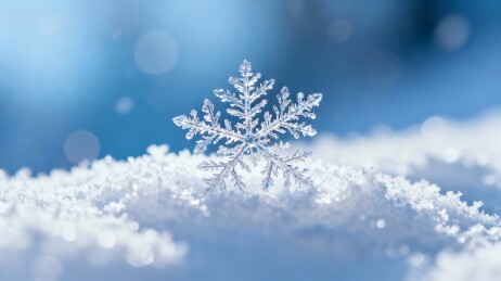 雪花静立雪堆晶莹剔透