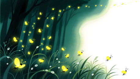 夏夜萤火虫梦幻治愈童年插画图表