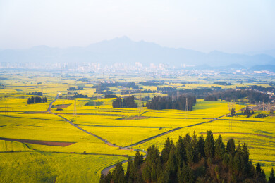 中国云南罗平油菜花金鸡峰丛日出