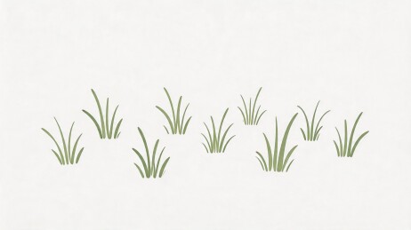 简约风格绿色草丛插画