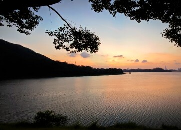 静谧郊野湖畔 | 日落剪影山水风光
