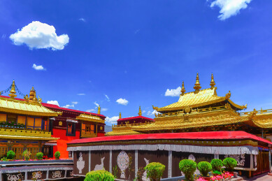 西藏拉萨大昭寺金顶全景藏式建筑金顶装饰